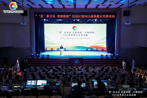 文化潤澤青春 交流匯聚力量——王勇副書記帶隊參加“京彩文化 青春綻放”行動計劃成果展示交流活動側記